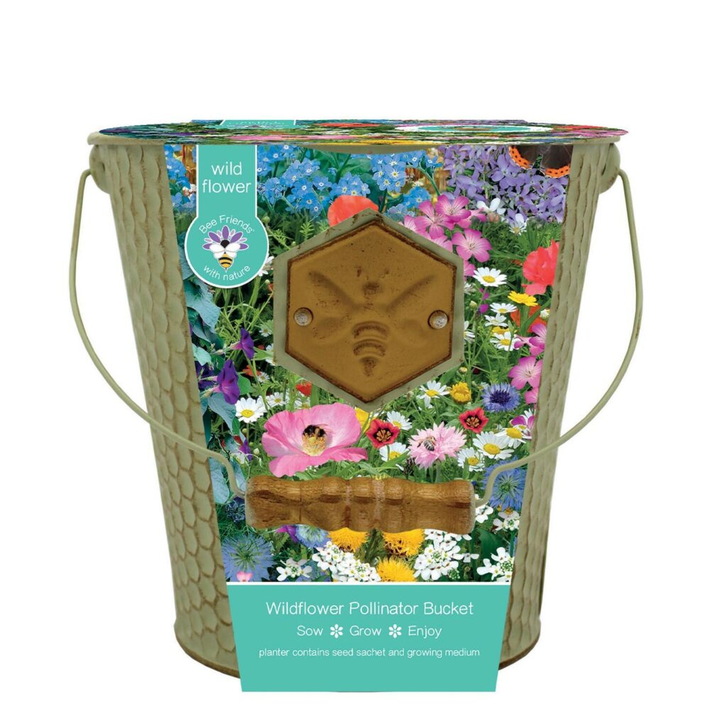 Bee Friends Honeycomb Wild Flower Seed Bucket 5055128622837